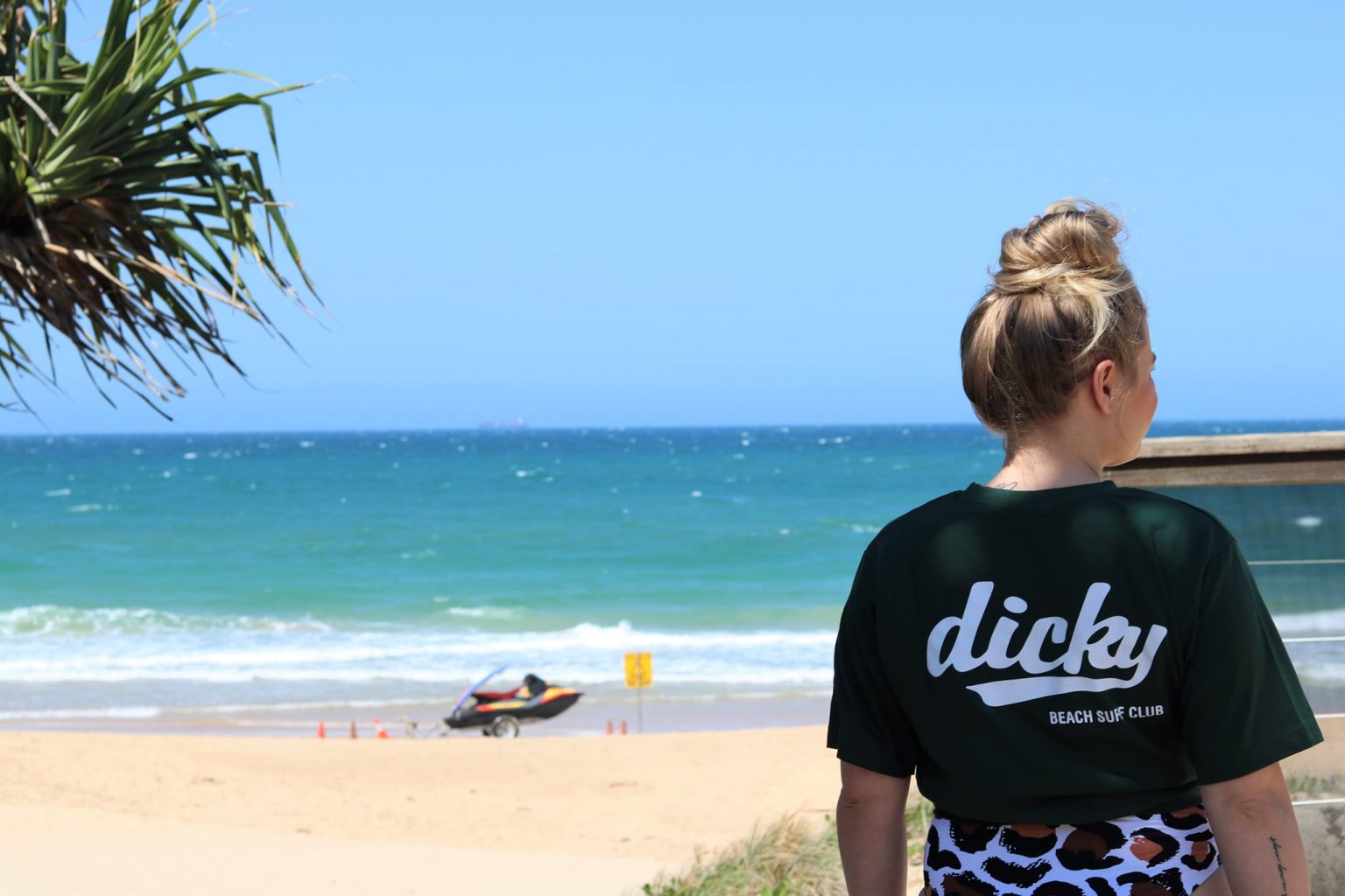 Dicky Beach Surf Life Saving Club